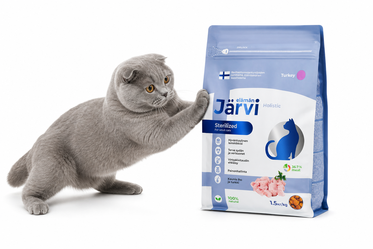 Кот рядом с кормом Järvi